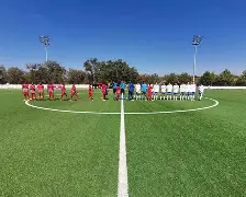 巴西女足零失球,斩获胜利喝彩的是谁